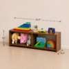 2-Compartment Low Shelf
